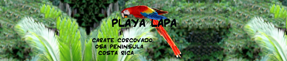 Playa Lapa